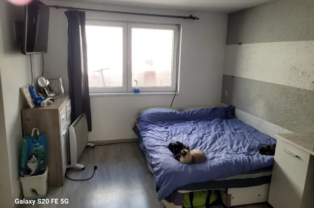 Casă individuală de vânzare -parter,renovată, cu vecini liniștiți, fotografia 4