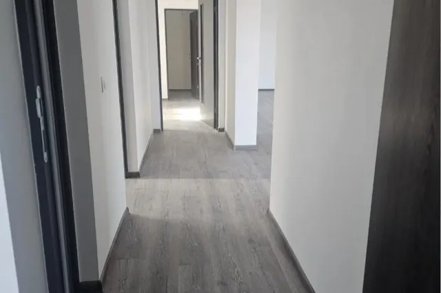 Casă nouă parter, 4 camere, teren 550 mp – Cartierul Lăcrămioara, Ciolpani (Ilfov), fotografia 4