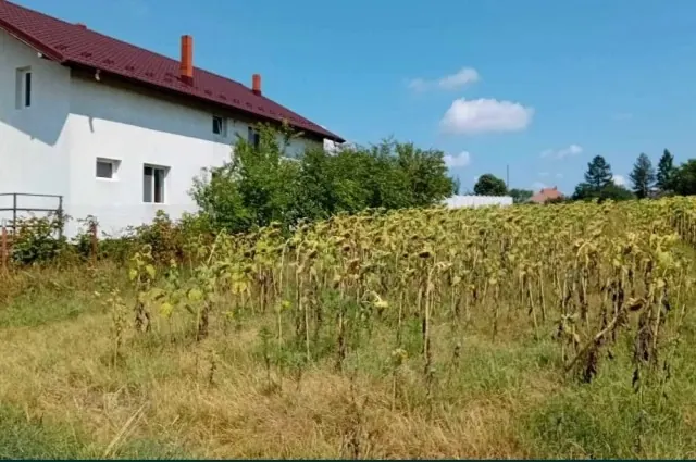 De vânzare teren intravilan, în Periș, județul Ilfov, fotografia 4