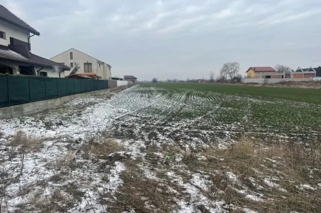 Oportunitate Unică! Teren Extravilan în Otopeni!, fotografia 4