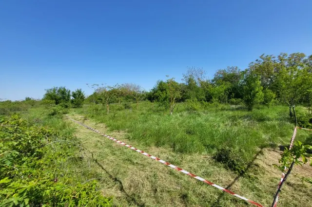 Teren de vânzare în Săftica – 560 mp, poziție excelentă, fotografia 2