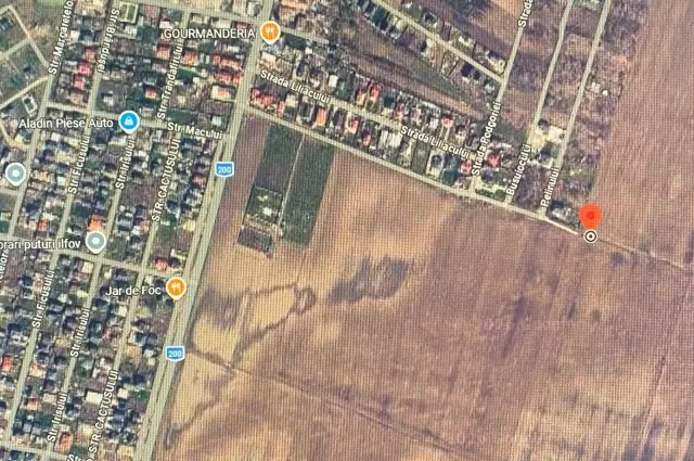 Teren intravilan de vânzare – 18.000 mp – Dascălu, Ilfov, fotografia 2