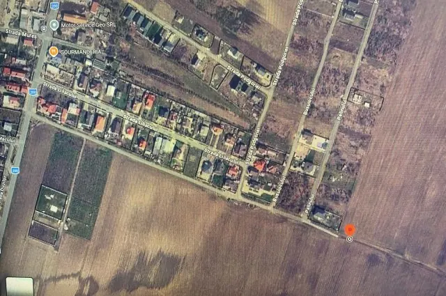 Teren intravilan de vânzare – 18.000 mp – Dascălu, Ilfov, fotografia 3