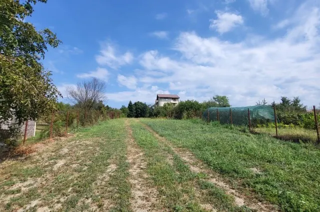 Teren intravilan de vânzare în Tâncăbești, Ilfov -2303 mp -Deschidere la lac, fotografia 4