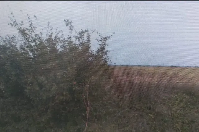 Teren intravilan de vânzare în Tunari-5000mp, fotografia 1
