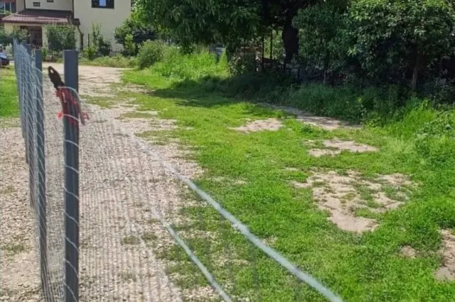 Teren intravilan de vânzare – Otopeni,ideal pentru casă, fotografia 3