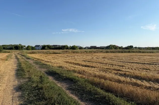 Teren intravilan de vânzare – Tunari, jud. Ilfov/8000mp, fotografia 3