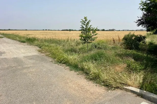 Vânzare Teren – Otopeni, Strada Carpați.Oportunitate!!!, fotografia 4